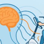 Active-Passive Cycling Stimulates Brain